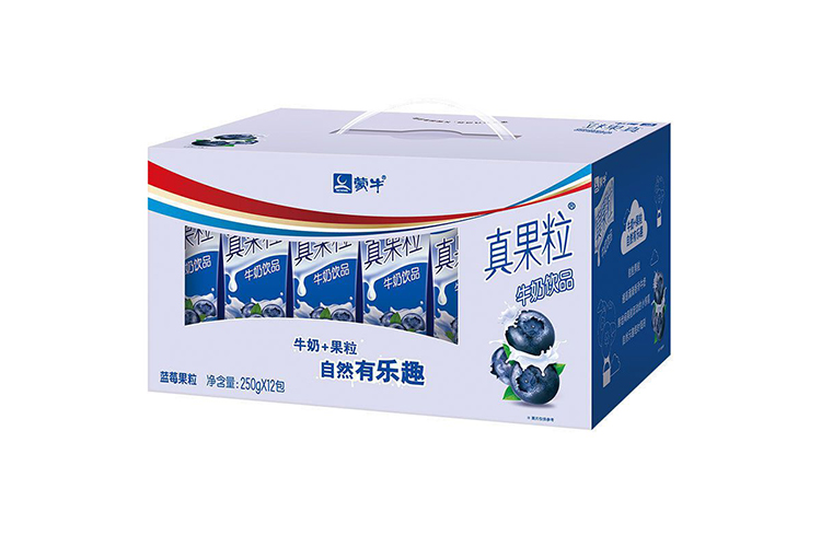 MENGNIU FRUIT GRANULES BLUEBERRY FLAVOR YOGURT DRINK 250G 10BOTTLES